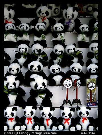 Stuffed pandas for sale. Chengdu, Sichuan, China (color)