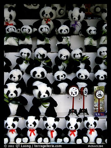 Stuffed pandas for sale. Chengdu, Sichuan, China