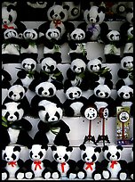 Stuffed pandas for sale. Chengdu, Sichuan, China (color)