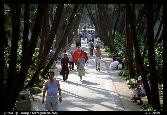 Walking to work and for exercie in a tree-lined alley of Liuha Park. Guangzhou, Guangdong, China