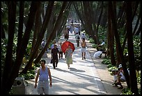 Walking to work and for exercie in a tree-lined alley of Liuha Park. Guangzhou, Guangdong, China (color)