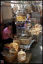 Bird Market. Guangzhou, Guangdong, China