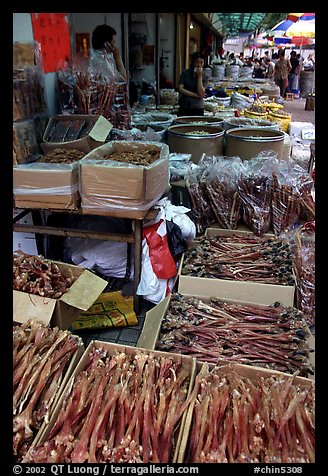 Strange animal parts for sale at the Qingping market. Guangzhou, Guangdong, China (color)