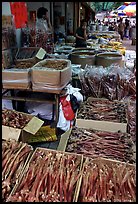 Strange animal parts for sale at the Qingping market. Guangzhou, Guangdong, China ( color)