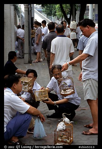 Peddling birds on the street. Guangzhou, Guangdong, China (color)