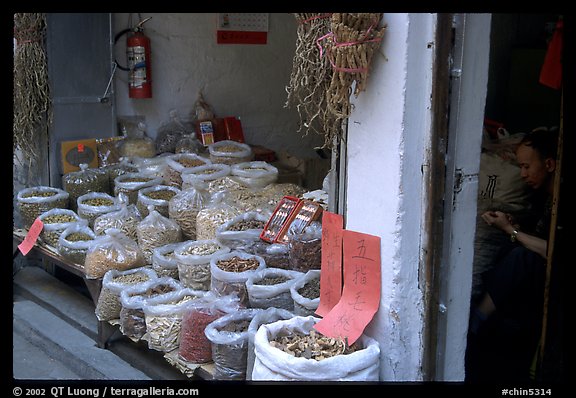 Herbs and fungus for sale in the extended Qingping market. Guangzhou, Guangdong, China (color)