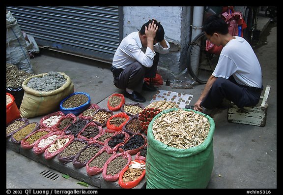 Playing Chinese chess while waiting for clients. Guangzhou, Guangdong, China (color)