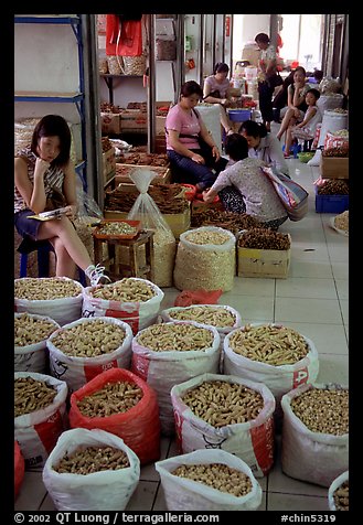 Woman selling dried food items inside the Qingping market. Guangzhou, Guangdong, China (color)