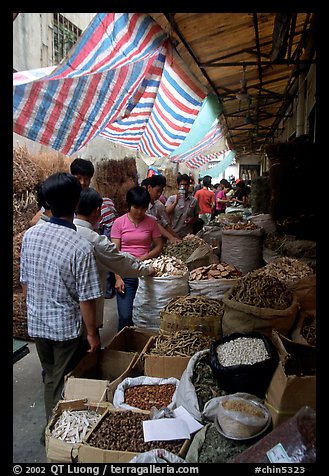 Dried food items for sale in the extended Qingping market. Guangzhou, Guangdong, China