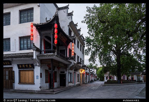 Village plaza with tree at dawn. Hongcun Village, Anhui, China