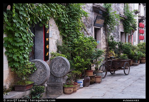 Houses iwth ivy. Hongcun Village, Anhui, China (color)