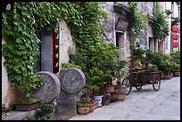 Houses iwth ivy. Hongcun Village, Anhui, China