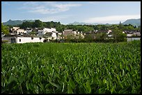 Field and village. Hongcun Village, Anhui, China