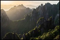 Granite spires, early morning. Huangshan Mountain, China ( color)