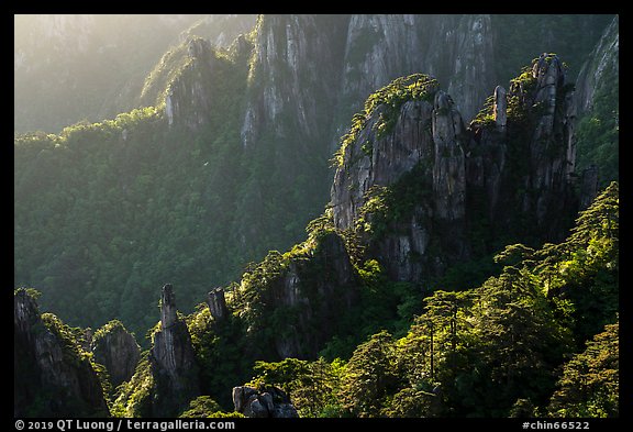 Granite spires with lush vegetation. Huangshan Mountain, China (color)