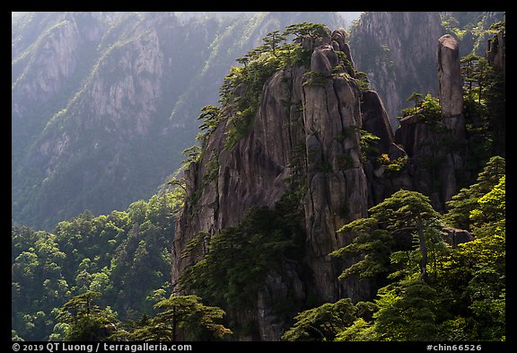 Granite peaks with pines. Huangshan Mountain, China (color)