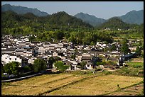 Field workers and village from above. Xidi Village, Anhui, China ( color)