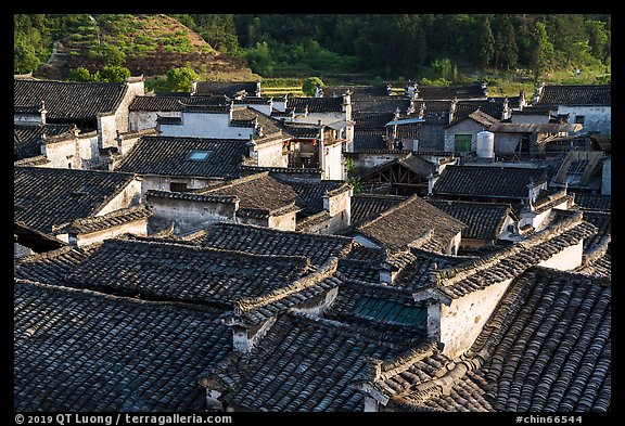 Slate tiled rooftops. Xidi Village, Anhui, China (color)
