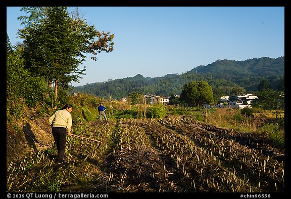 Villagers working in the fields. Xidi Village, Anhui, China (color)