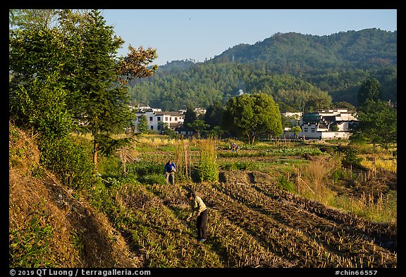 Villagers cultivating fields. Xidi Village, Anhui, China (color)