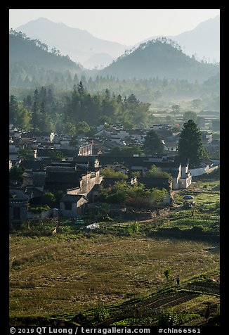 Villagers in fields and village in morning fog from above. Xidi Village, Anhui, China (color)