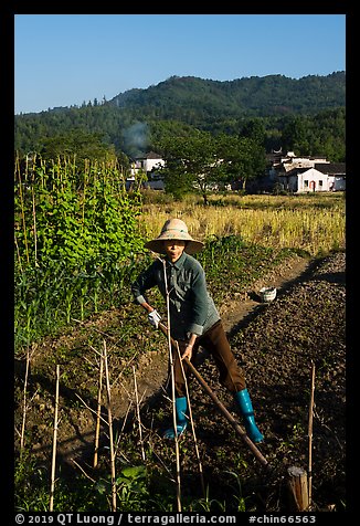 Woman tilling fields with village in background. Xidi Village, Anhui, China (color)