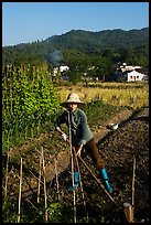 Woman tilling fields with village in background. Xidi Village, Anhui, China ( color)