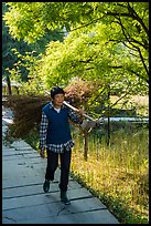 Woman with harvested bunch. Xidi Village, Anhui, China ( color)