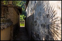 Plant shadow and alley. Xidi Village, Anhui, China