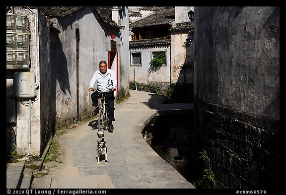 Dog and man on bike. Xidi Village, Anhui, China