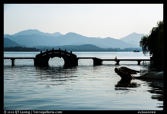 Yongjin Bridge and water buffalo, West Lake. Hangzhou, China (color)