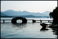 Yongjin Bridge and water buffalo, West Lake. Hangzhou, China