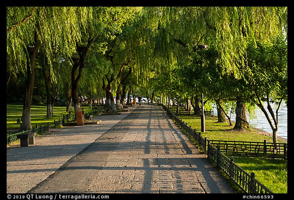 Willow-lined walkway, West Lake. Hangzhou, China (color)