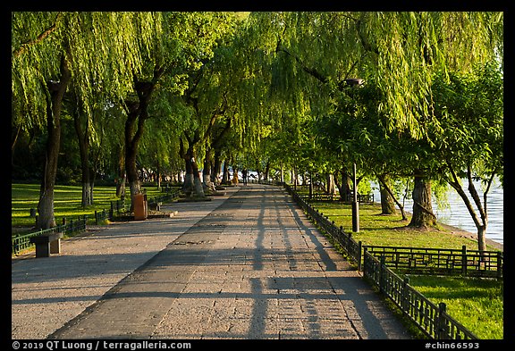 Willow-lined walkway, West Lake. Hangzhou, China