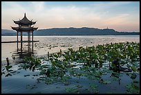 Jixianting and mermaid at sunrise, West Lake. Hangzhou, China ( color)