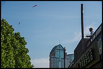 Man flying kite, the Bund. Shanghai, China ( color)