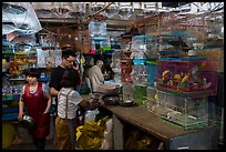 Caged birds for sale at Bird and Insect Market. Shanghai, China ( color)