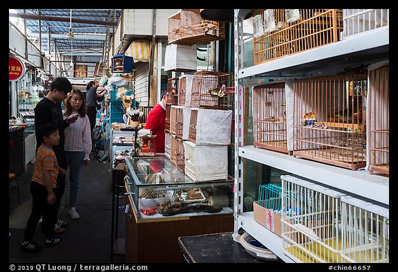 Family shopping at Bird and Insect Market. Shanghai, China (color)