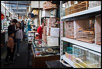 Family shopping at Bird and Insect Market. Shanghai, China ( color)