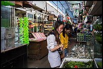 Young women shopping at Bird and Insect Market. Shanghai, China ( color)