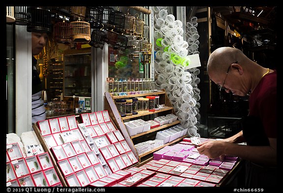 Man shopping at Bird and Insect Market. Shanghai, China (color)