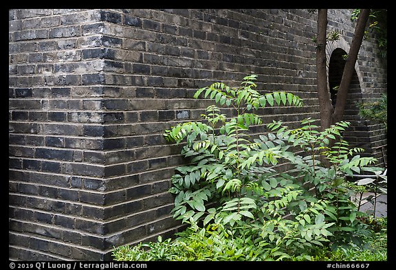Old city wall. Shanghai, China (color)
