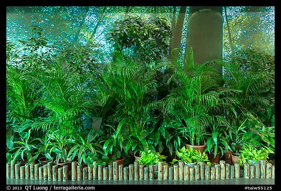 Plants and forest mural photograph, Taoyuan Airport. Taiwan (color)