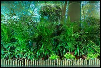 Plants and forest mural photograph, Taoyuan Airport. Taiwan (color)