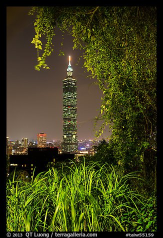 Taipei 101 seen through vegetation at night. Taipei, Taiwan (color)