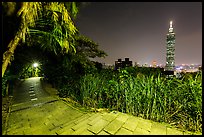 Path on Elephant Mountain with Taipei 101 in the distance at night. Taipei, Taiwan (color)