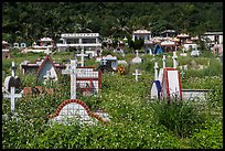 Christian cemetery, Chongde. Taiwan (color)