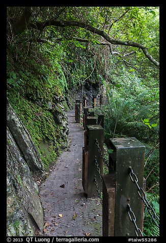 Cliffside trail, Taroko Gorge. Taroko National Park, Taiwan (color)
