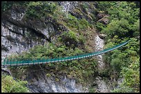 Suspension footbridge, Taroko Gorge. Taroko National Park, Taiwan (color)