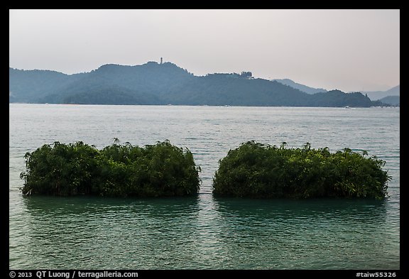 Floating gardens where plants are cultivated. Sun Moon Lake, Taiwan